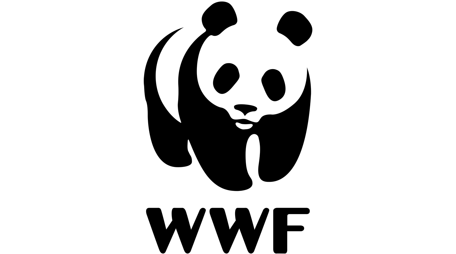 World Wildlife Federation