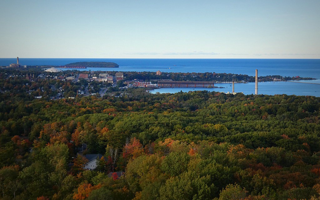 An aerial view of Midland, Michigan, including a forest in the foreground.