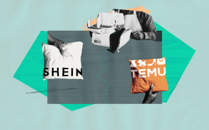 graphic with shein and temu logos