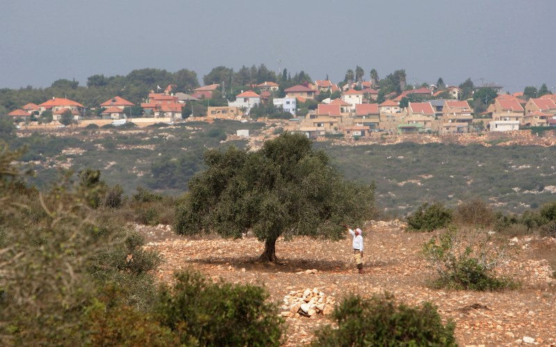 a man standing by a tree