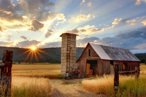 A barn in a field of grass, with a sun setting in the background