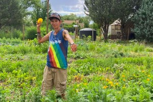 An Ashokra farm worker stands in a field of crops.