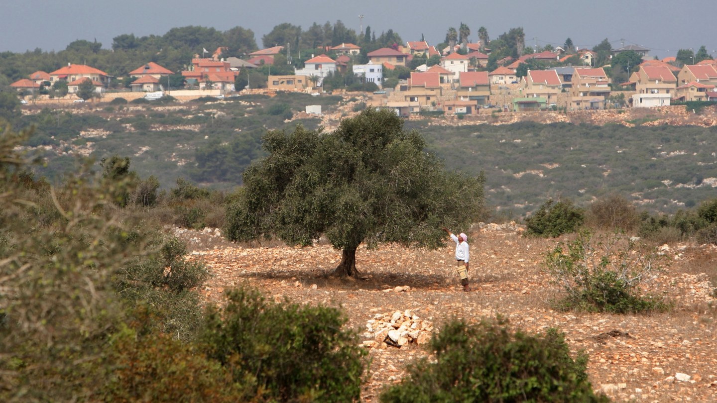 a man standing by a tree