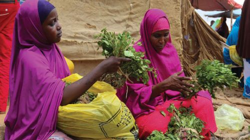 A woman and her daughter arrange branches of khat into small bundles in Somalia.