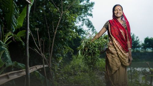 A woman standing outside holds a pile of picked leaves