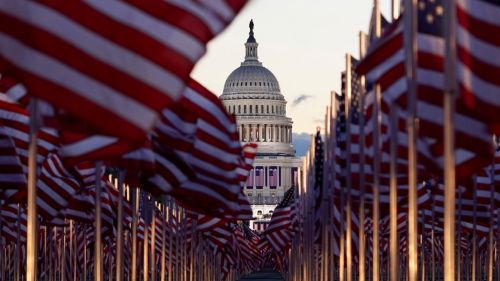 Field of flags on President Biden's inauguration day 