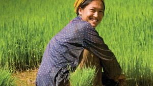 Woman farmer in field