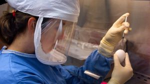 a medical professional prepares a vaccine syringe 