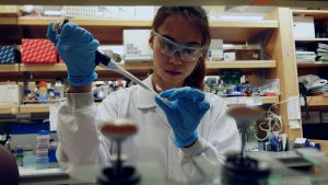 A researcher works in a lab at the Duke-NUS Medical School