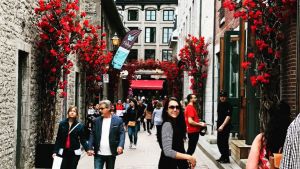 A person stands in an alleyway with red flowers along the walls