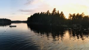 View of a lake with a small island of trees at sunset