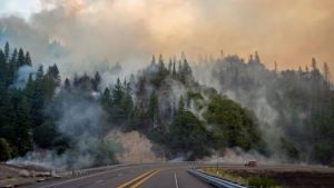 View of wildfires in California from a road