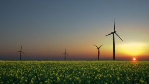 Image of wind turbines, a common example of alternative wind energy. 