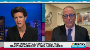 Screenshot of Ivo Daalder speaking with Rachel Maddow.