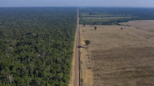 Deforestation in the Amazon